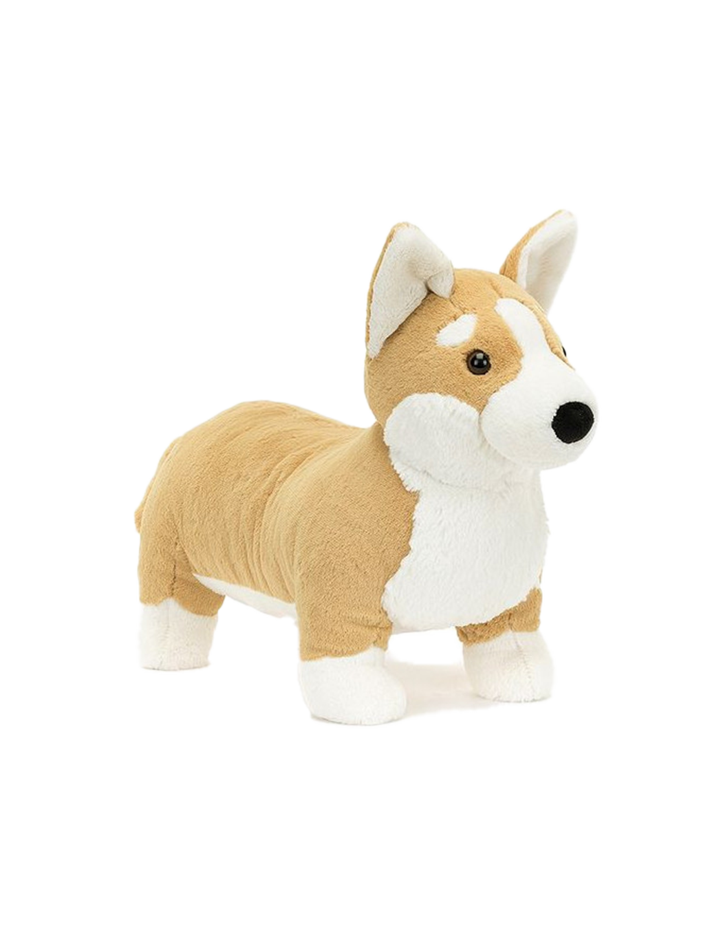 Miękka przytulanka Corgi Betty Jellycat BÉBÉ Concept 