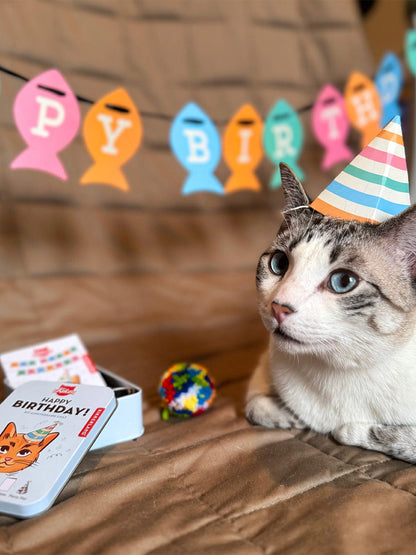 Zestaw dla kota Kobe Cat Birthday Kit Kikkerland BÉBÉ Concept 
