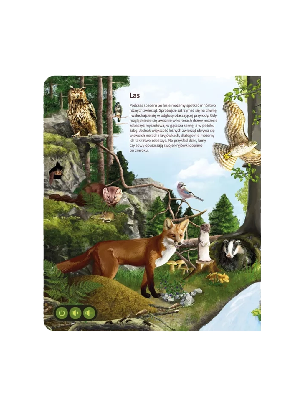 Świat zwierząt. Zestaw książka z piórem Albi BÉBÉ Concept 