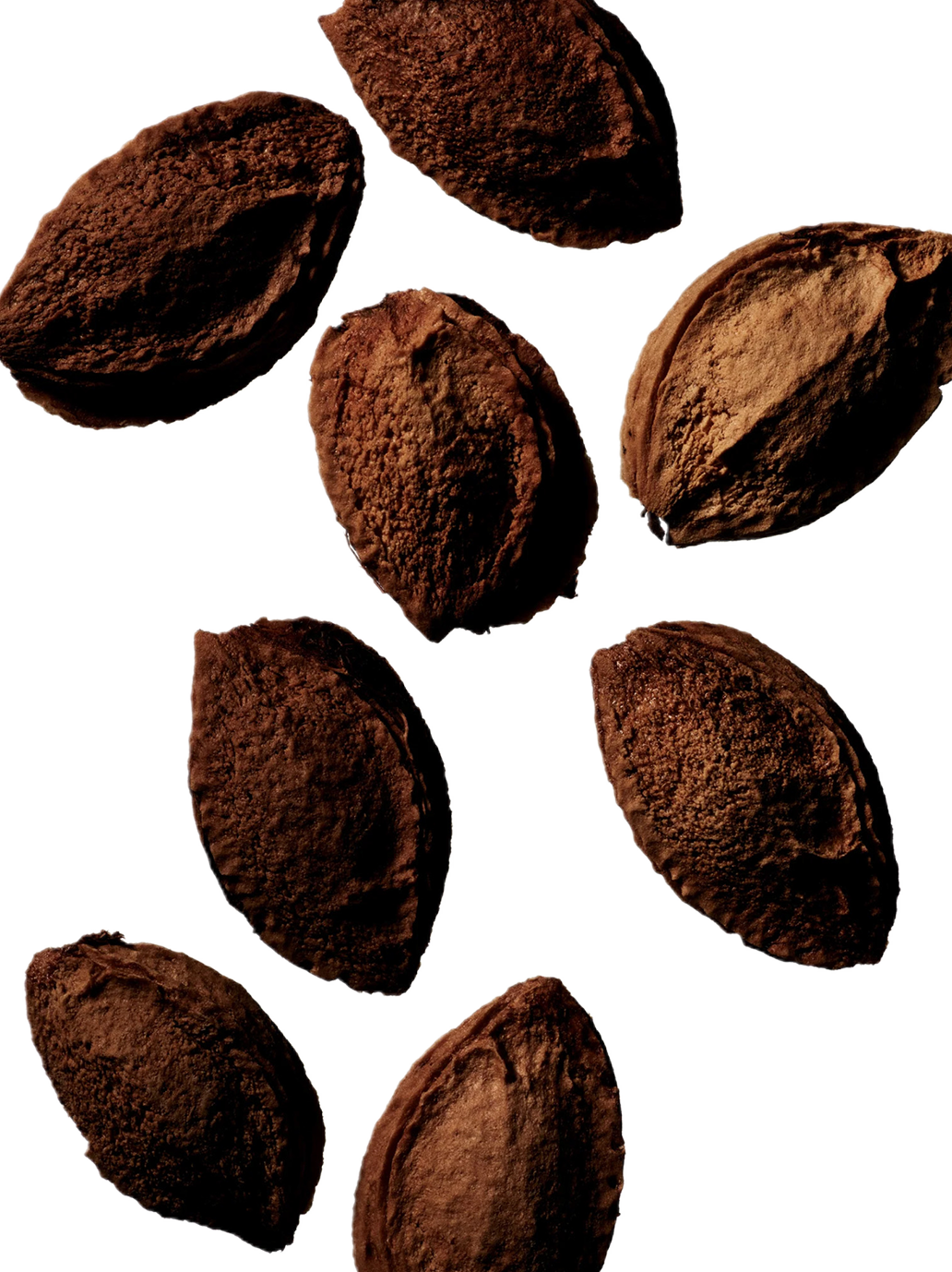 Wielofunkcyjny olejek Tinted Beauty Potion Manasi 7 BÉBÉ Concept 