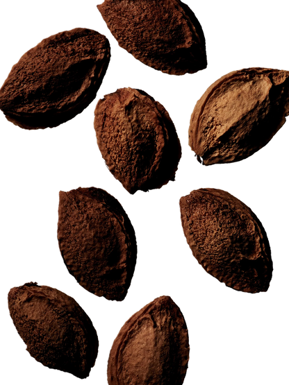 Wielofunkcyjny olejek Tinted Beauty Potion Manasi 7 BÉBÉ Concept 