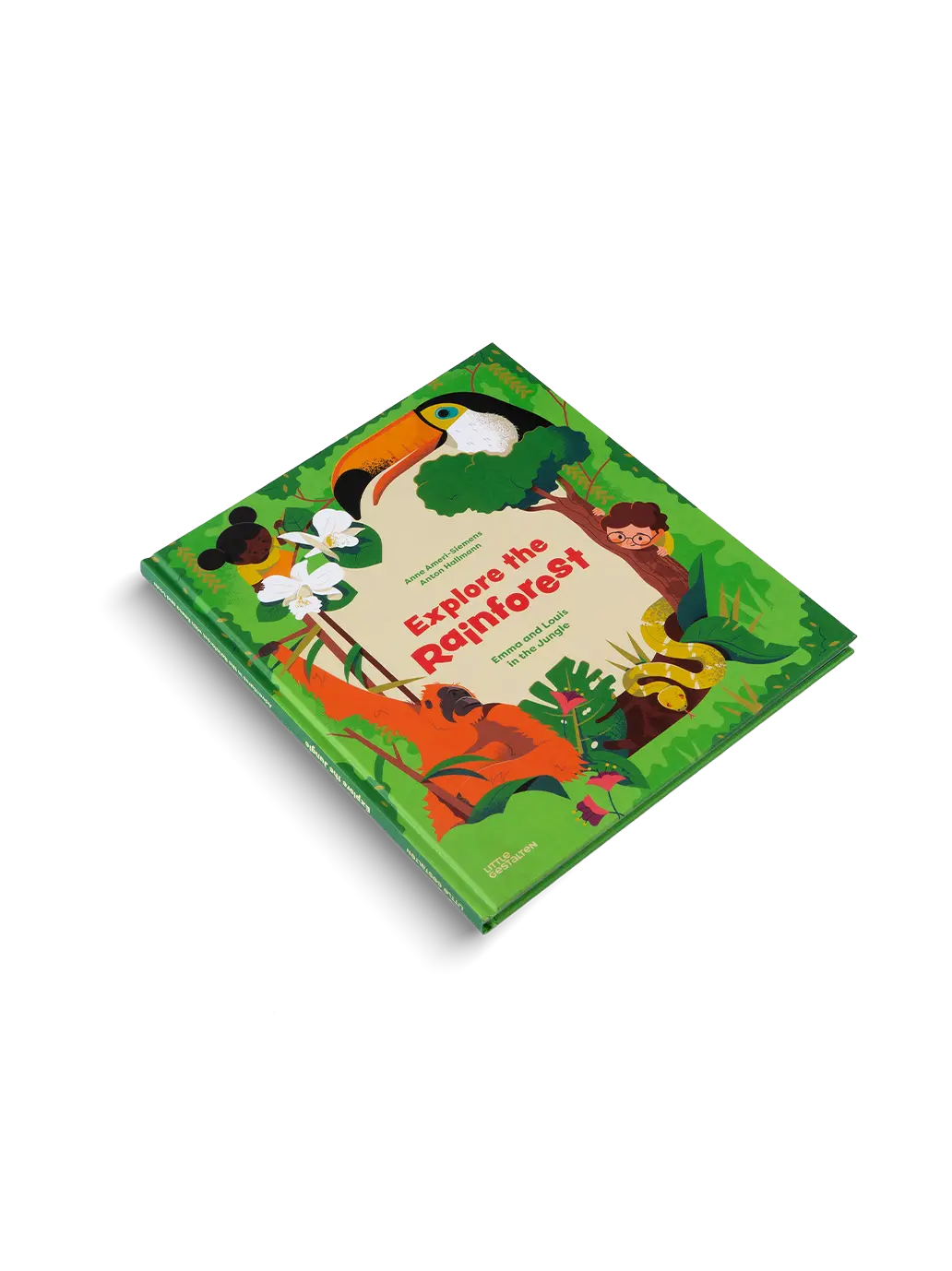 Explore the Rainforest Little Gestalten BÉBÉ Concept