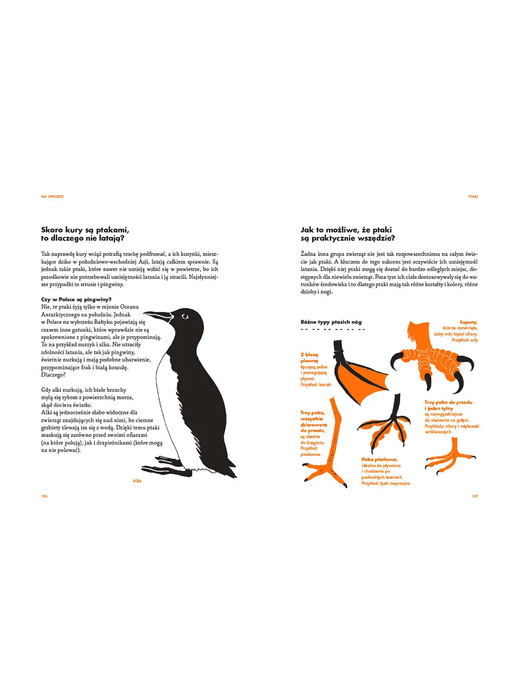 Na dworze. Przewodnik dla odkrywców przyrody Wydawnictwo Dwie Siostry BÉBÉ Concept