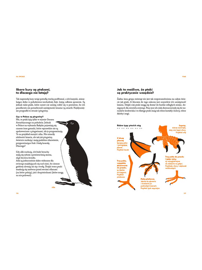 Na dworze. Przewodnik dla odkrywców przyrody Wydawnictwo Dwie Siostry BÉBÉ Concept