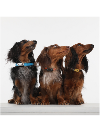 Urządzenie chroniące przed kleszczami Tickless Pet Tickless BÉBÉ Concept 