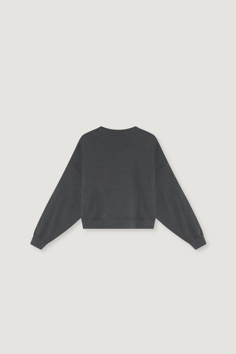 TNS Logo Sweatshirt Dark Grey Melange DARK GREY MELANGE