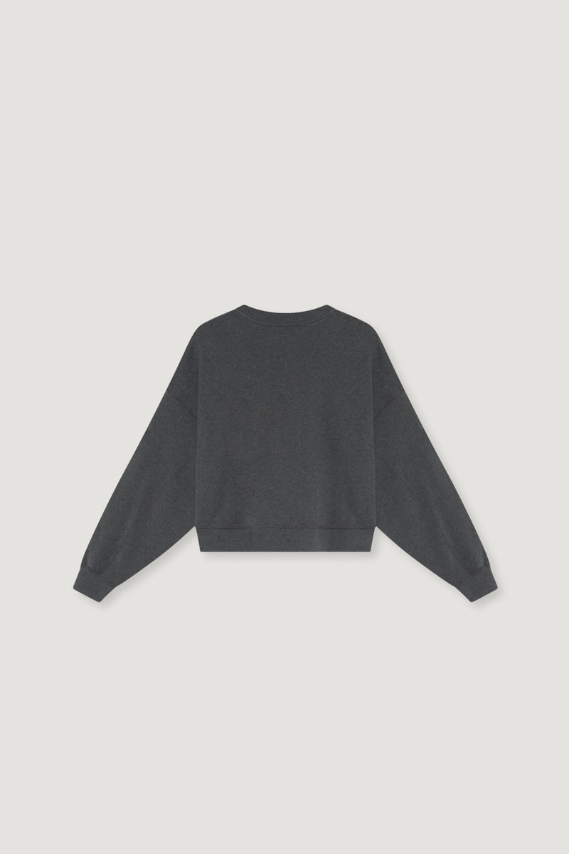 TNS Logo Sweatshirt Dark Grey Melange